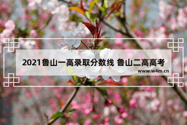 2021鲁山一高录取分数线 鲁山二高高考分数线2021