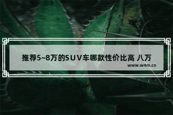 推荐5~8万的S∪V车哪款性价比高 八万买新车推荐哪款好呢女生