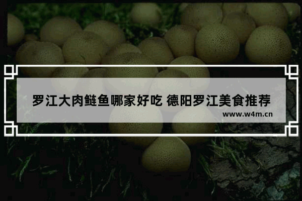 罗江大肉鲢鱼哪家好吃 德阳罗江美食推荐