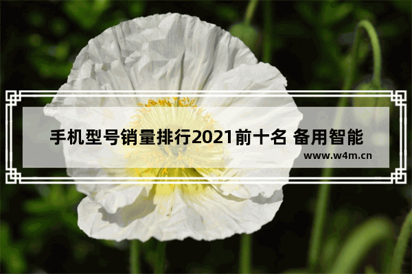 手机型号销量排行2021前十名 备用智能手机推荐排行榜最新