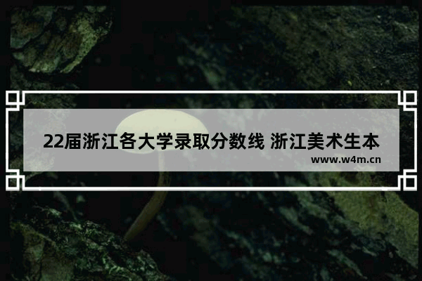 22届浙江各大学录取分数线 浙江美术生本科高考分数线