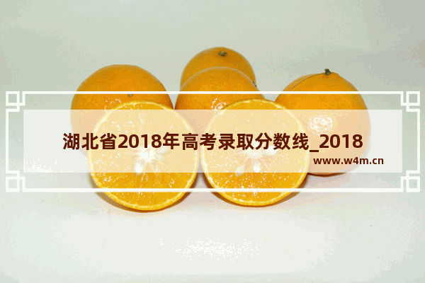 湖北省2018年高考录取分数线_2018湖北高考平均分