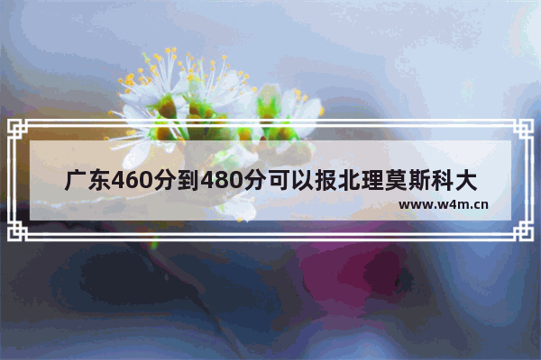 广东460分到480分可以报北理莫斯科大学吗_深圳北理莫斯科大学安徽2020录取分数线