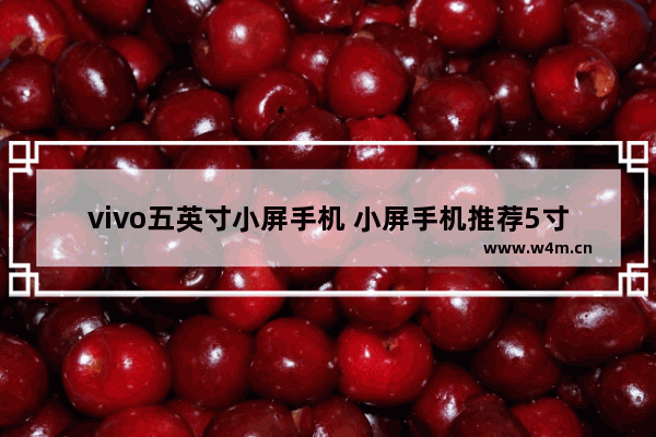 vivo五英寸小屏手机 小屏手机推荐5寸便宜又好用