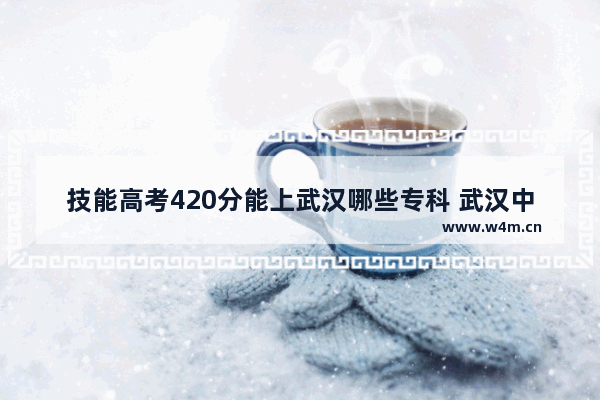 技能高考420分能上武汉哪些专科 武汉中专技能高考分数线