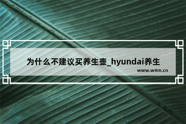 为什么不建议买养生壶_hyundai养生壶质量怎么样