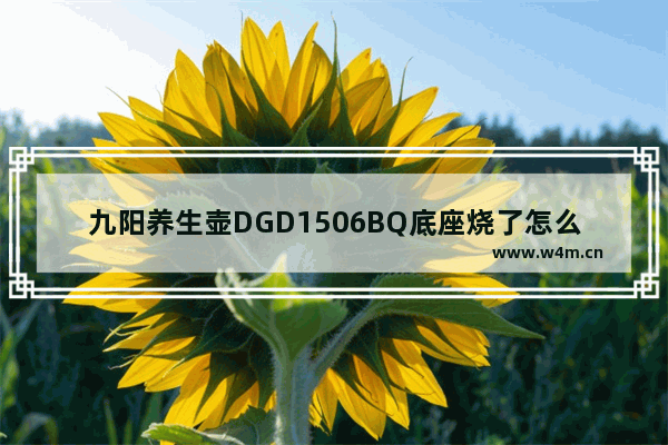 九阳养生壶DGD1506BQ底座烧了怎么维修 九阳养生壶价格多少