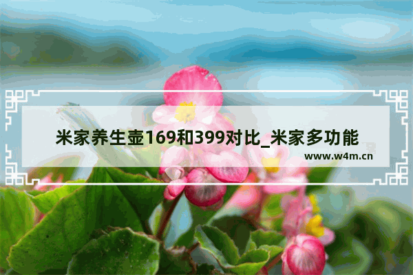 米家养生壶169和399对比_米家多功能养生壶和电煮壶区别