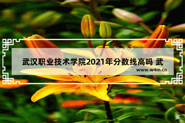 武汉职业技术学院2021年分数线高吗 武汉一职业高考分数线公布