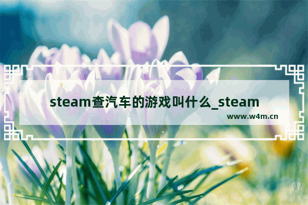 steam查汽车的游戏叫什么_steam小红车叫什么