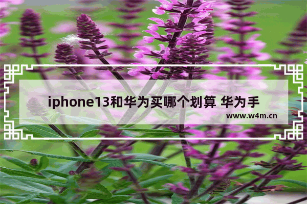 iphone13和华为买哪个划算 华为手机与苹果手机推荐哪款好用些呢