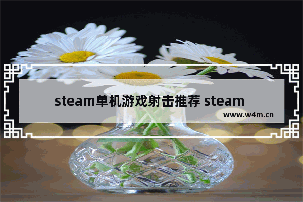 steam单机游戏射击推荐 steam 游戏推荐免费射击单机