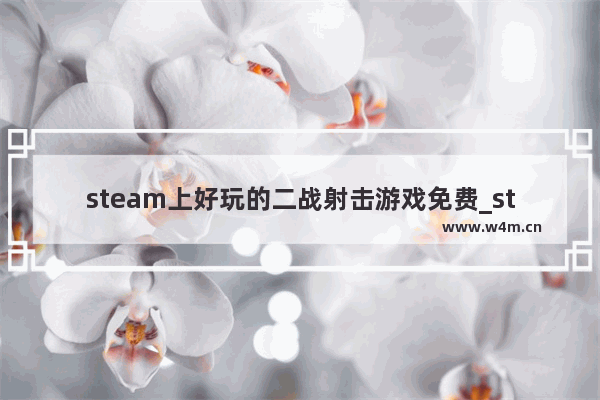 steam上好玩的二战射击游戏免费_steam 免费游戏双人推荐中文