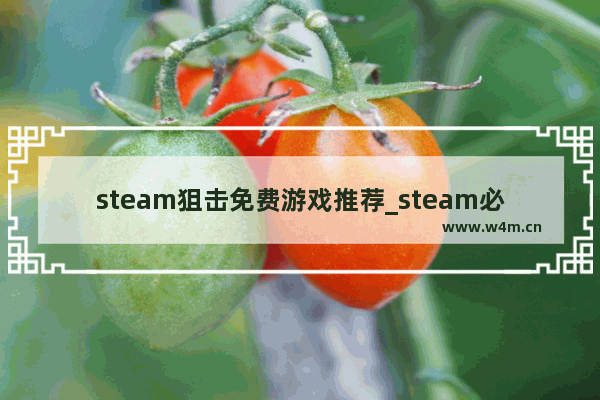 steam狙击免费游戏推荐_steam必买射击游戏