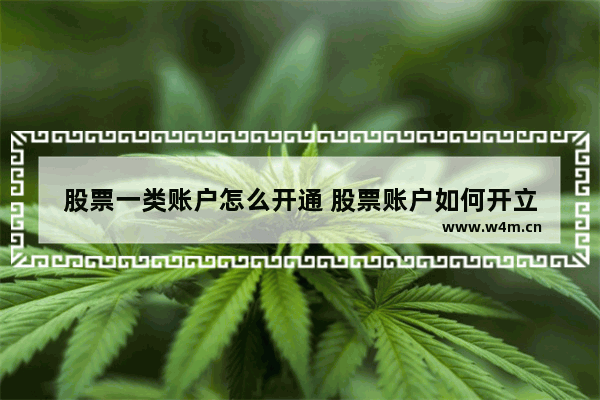 股票一类账户怎么开通 股票账户如何开立