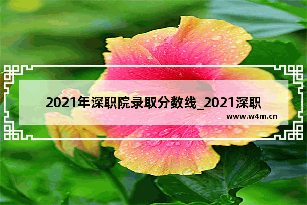 2021年深职院录取分数线_2021深职院中考录取分数