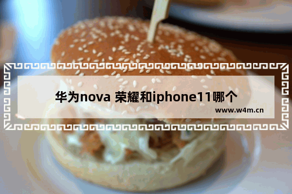 华为nova 荣耀和iphone11哪个好 苹果手机跟华为手机推荐哪个好用些啊