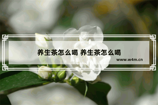 养生茶怎么喝 养生茶怎么喝