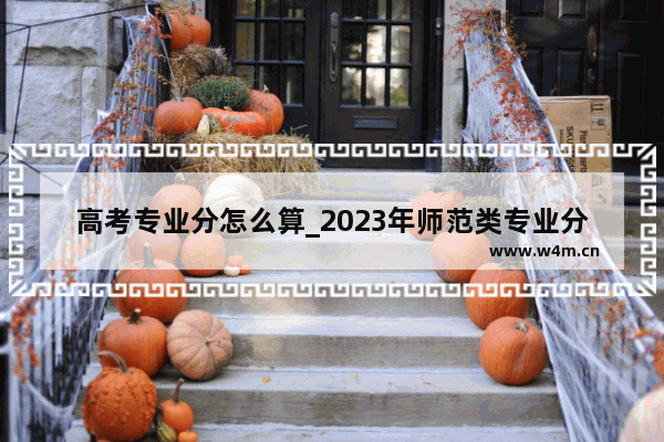 高考专业分怎么算_2023年师范类专业分数线会涨吗