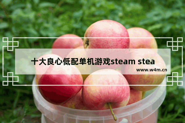 十大良心低配单机游戏steam steam单人游戏推荐冒险射击手游