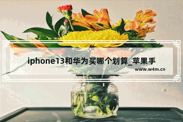 iphone13和华为买哪个划算_苹果手机和华为手机推荐买哪个好用些