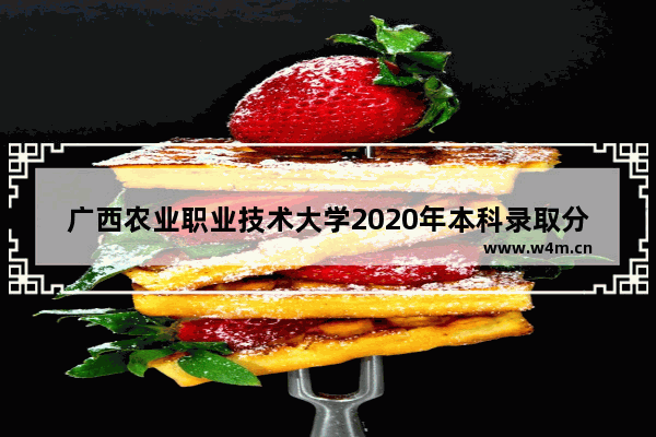 广西农业职业技术大学2020年本科录取分数线_2021年哈尔滨铁路职业学院多少分