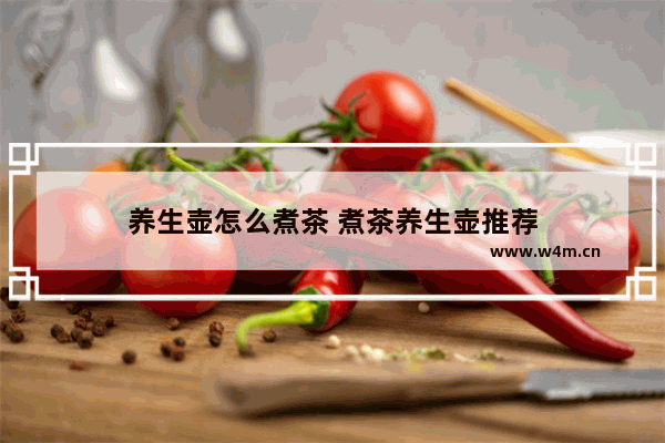 养生壶怎么煮茶 煮茶养生壶推荐