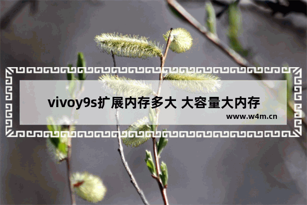 vivoy9s扩展内存多大 大容量大内存手机推荐