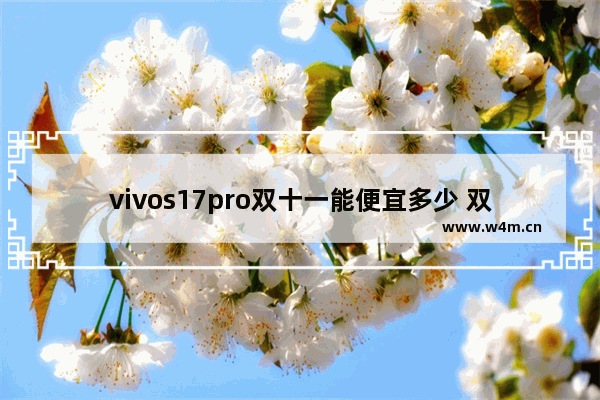 vivos17pro双十一能便宜多少 双十一vivo手机推荐哪款好用又便宜