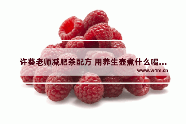 许葵老师减肥茶配方 用养生壶煮什么喝能减肥