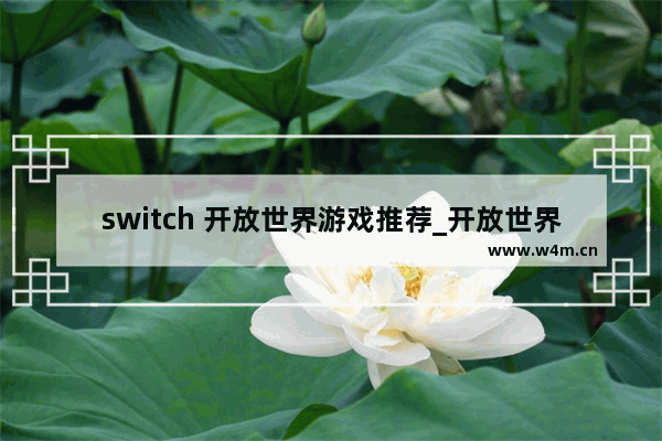 switch 开放世界游戏推荐_开放世界生存游戏是啥意思