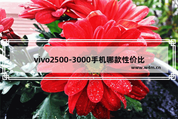 vivo2500-3000手机哪款性价比高 vivo三千多手机推荐性价比高