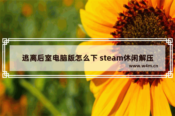 逃离后室电脑版怎么下 steam休闲解压游戏推荐单机