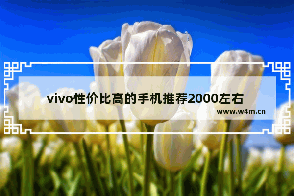 vivo性价比高的手机推荐2000左右 vivo两千多元手机推荐哪款