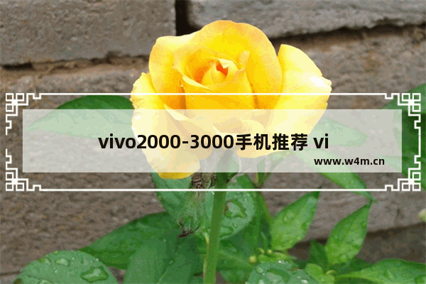 vivo2000-3000手机推荐 vivo三千左右性价比手机推荐哪款好用一点