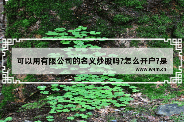 可以用有限公司的名义炒股吗?怎么开户?是个人户还是公司户_可以用有限公司的名义炒股吗?怎么开户?是个人户还是公司户