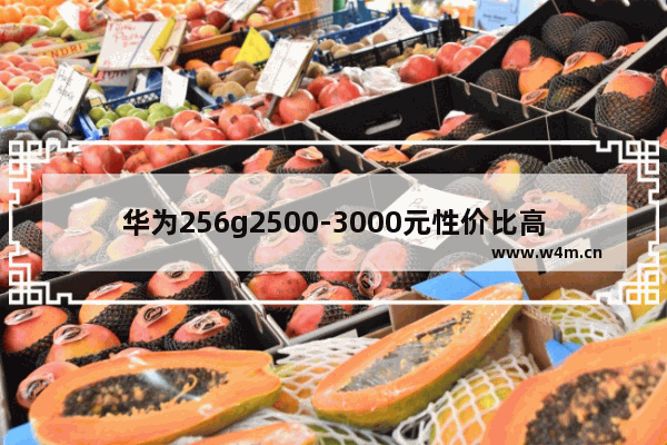 华为256g2500-3000元性价比高的手机有哪些_华为手机2000到3000那款最好