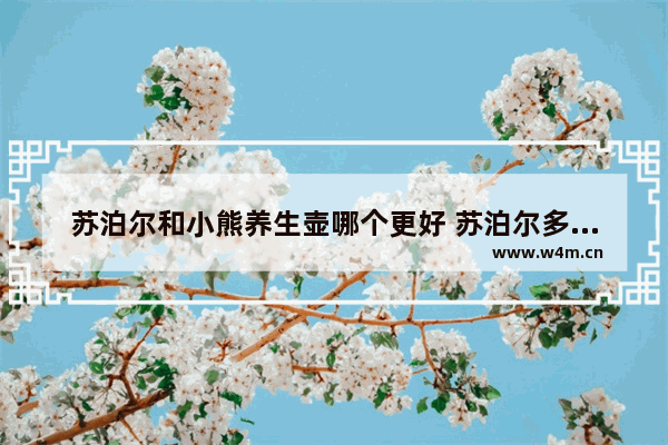 苏泊尔和小熊养生壶哪个更好 苏泊尔多功能简约养生壶价格