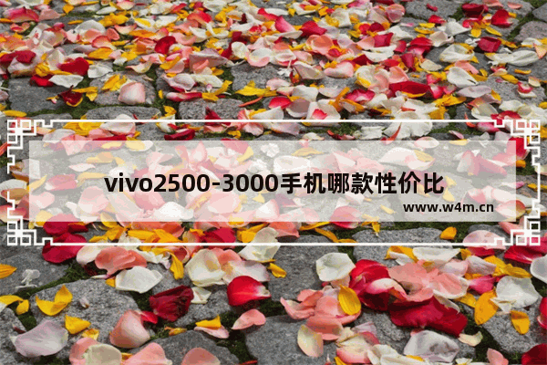 vivo2500-3000手机哪款性价比高 vivo两千元到三千元手机推荐