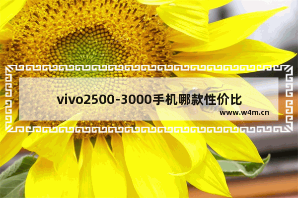 vivo2500-3000手机哪款性价比高 vivo两千元至三千元手机推荐