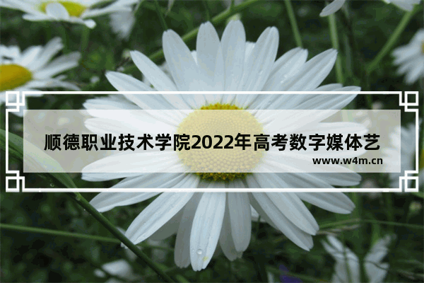 顺德职业技术学院2022年高考数字媒体艺术设计专业录取分数线 顺职++++分数线