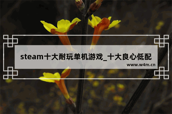 steam十大耐玩单机游戏_十大良心低配单机游戏steam