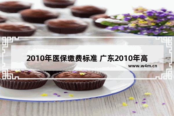 2010年医保缴费标准 广东2010年高考分数线