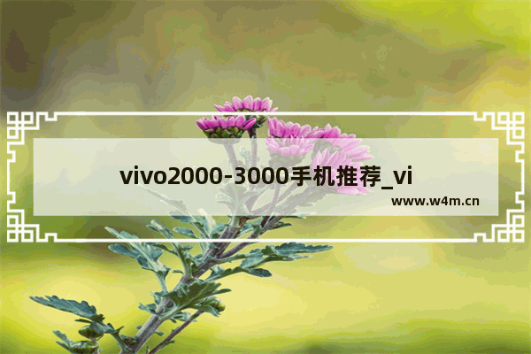 vivo2000-3000手机推荐_vivo手机2千到3千最具性价比