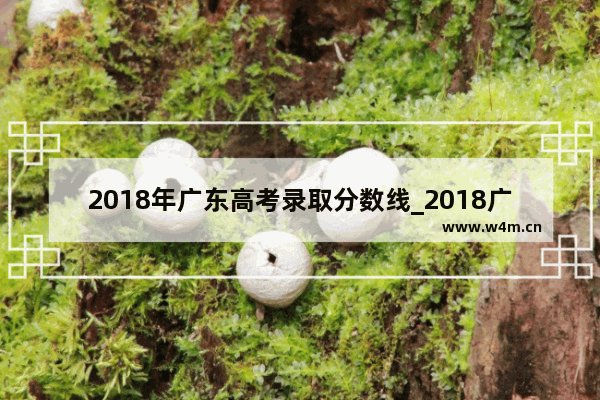 2018年广东高考录取分数线_2018广东一本线多少分