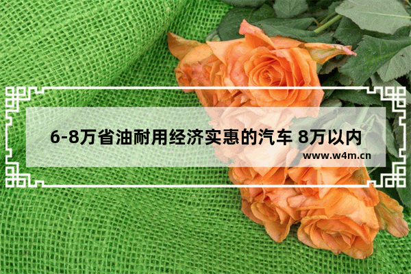 6-8万省油耐用经济实惠的汽车 8万以内新车推荐哪款车最好开省油省钱