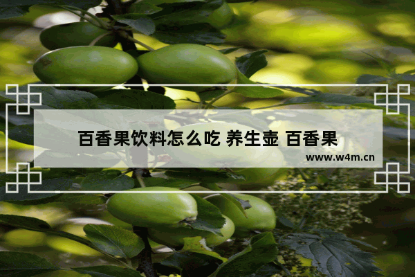 百香果饮料怎么吃 养生壶 百香果