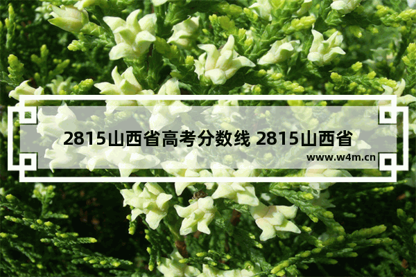 2815山西省高考分数线 2815山西省高考分数线