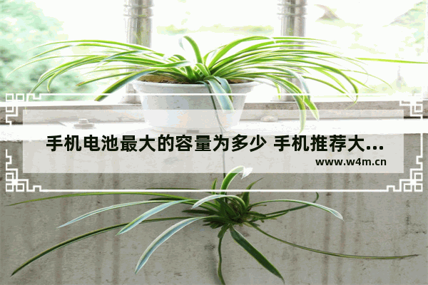 手机电池最大的容量为多少 手机推荐大电池型号