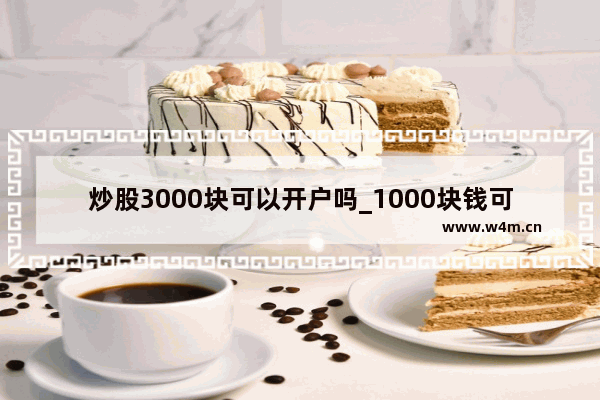 炒股3000块可以开户吗_1000块钱可以买股票吗